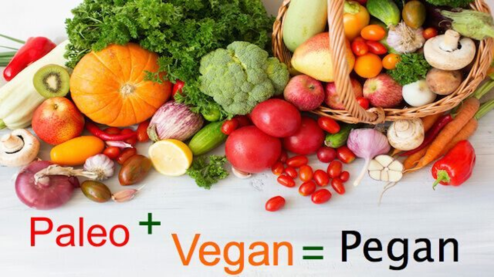 what is Paleo vegan